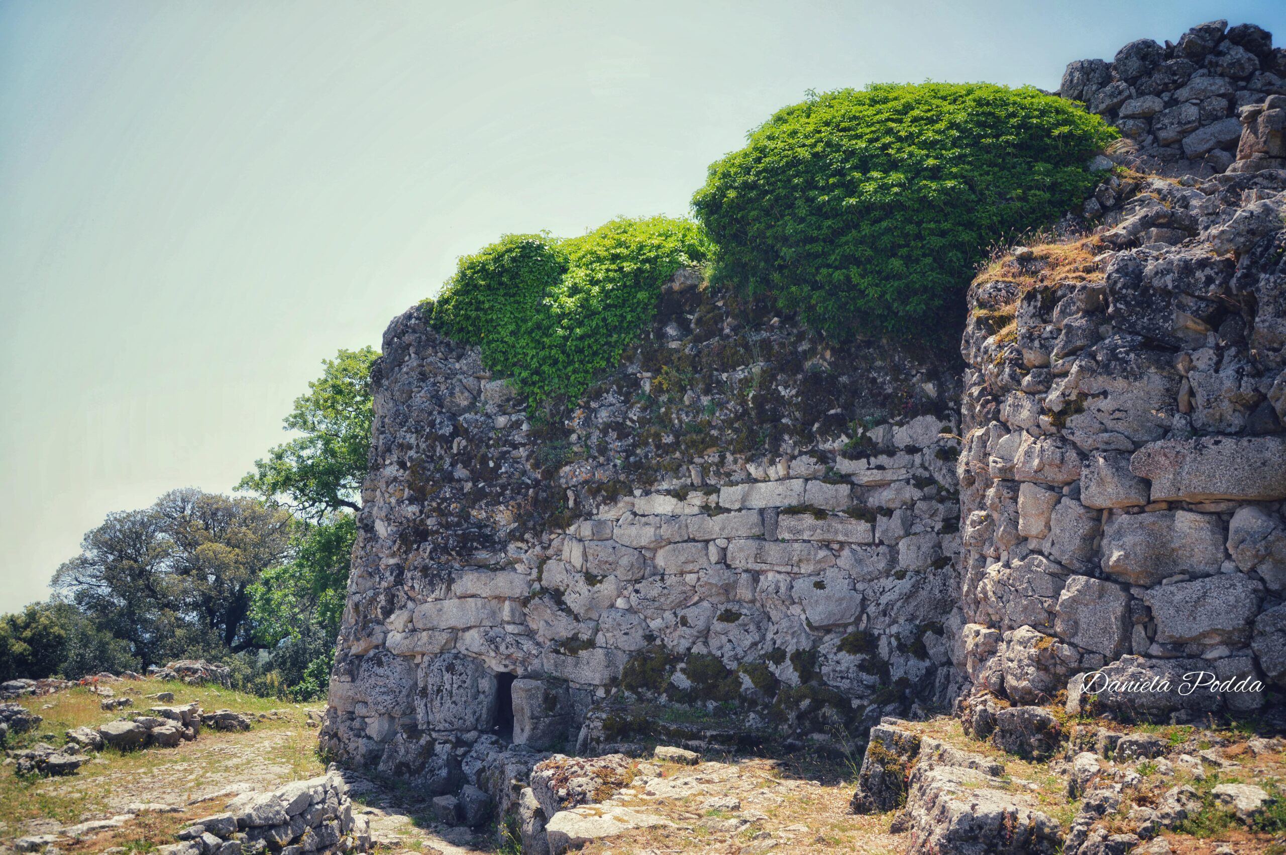 Nuraghe Adoni - Villanova Tulo