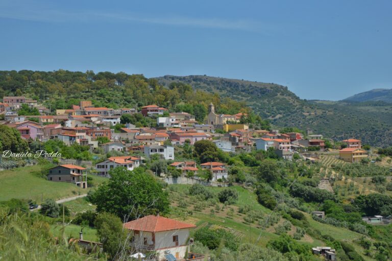 Festa di San Giuliano Martire – Villanova Tulo
