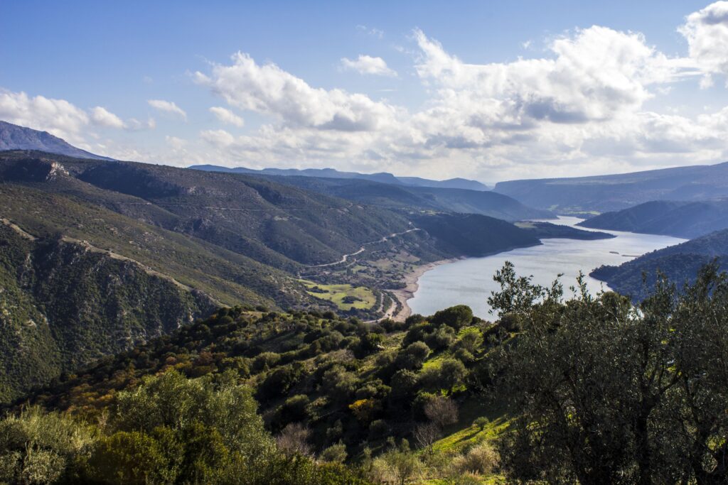Sagra delle ciliegie 2023
