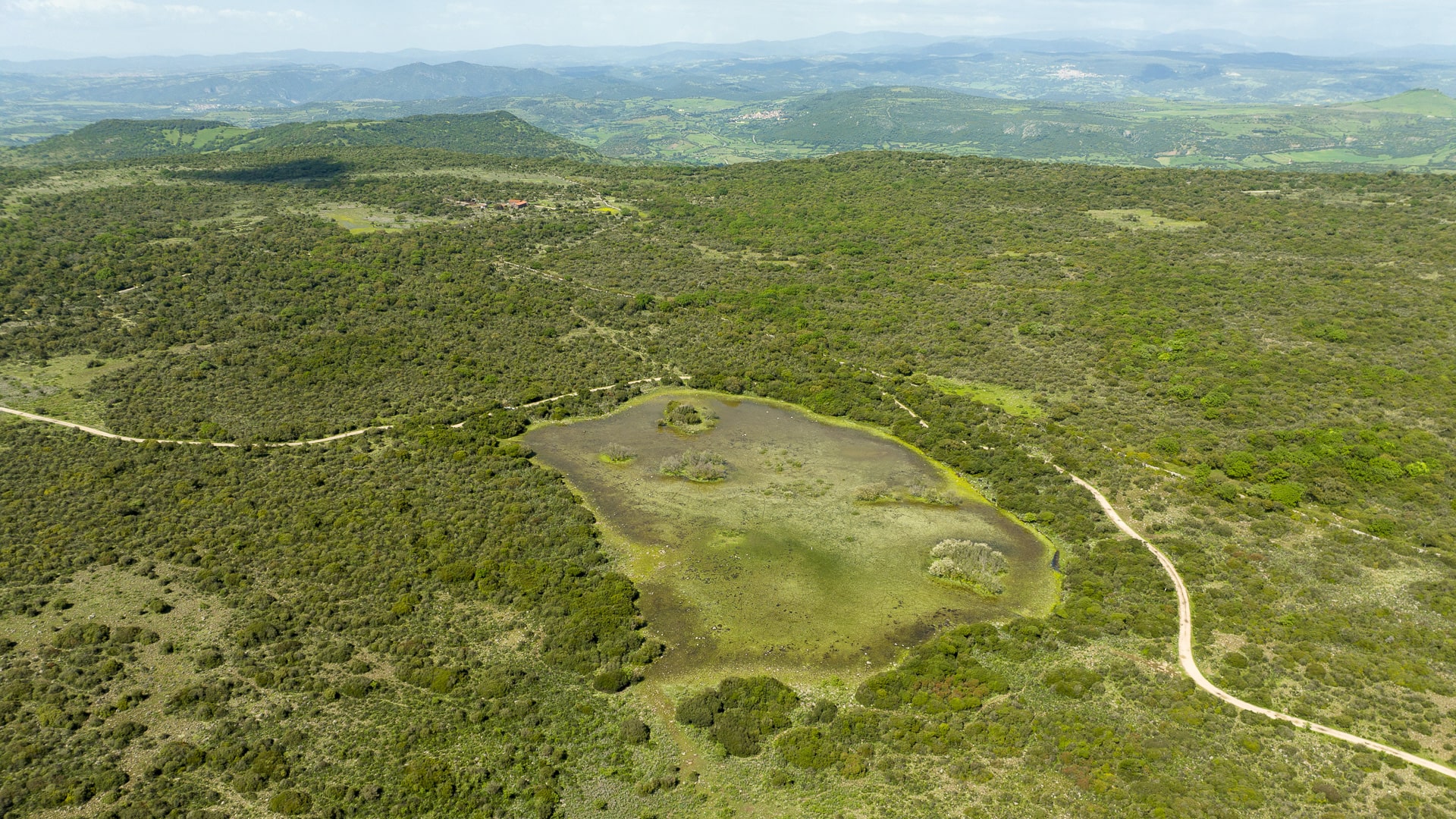 Genoni, Parco della Giara, Pauli Tramatzu