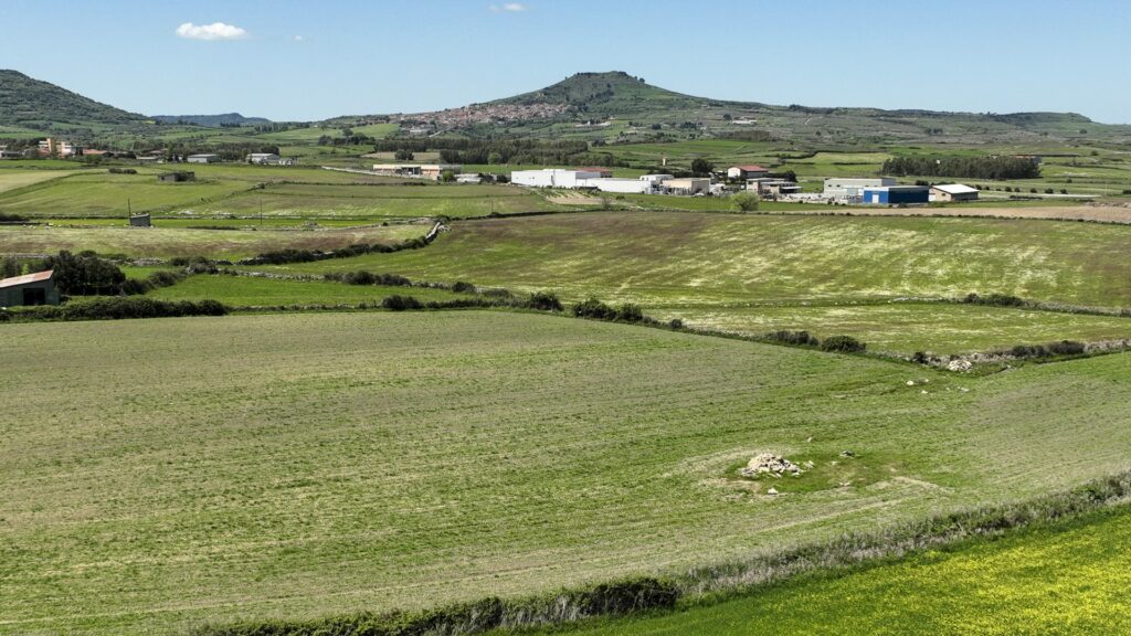 Torneo amatoriale di calcio A 5