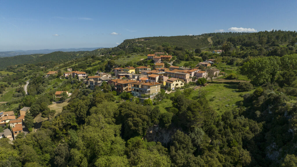 13^ sagra del tartufo di Sardegna