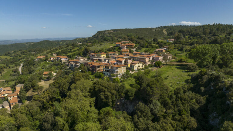 Sant’Ignazio da Laconi: Festaggiamenti religiosi – Laconi