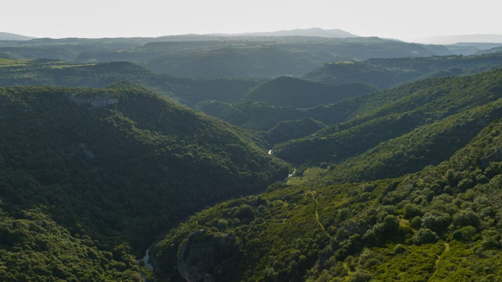 Escursioni in occasione di Tessingiu 2022