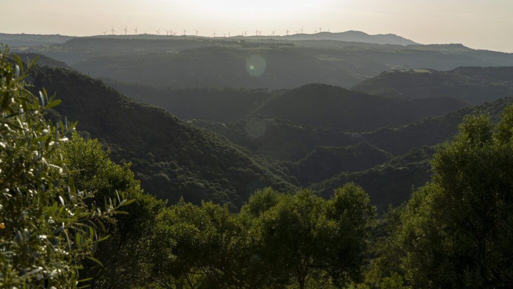 Festa di San Sebastiano – Samugheo