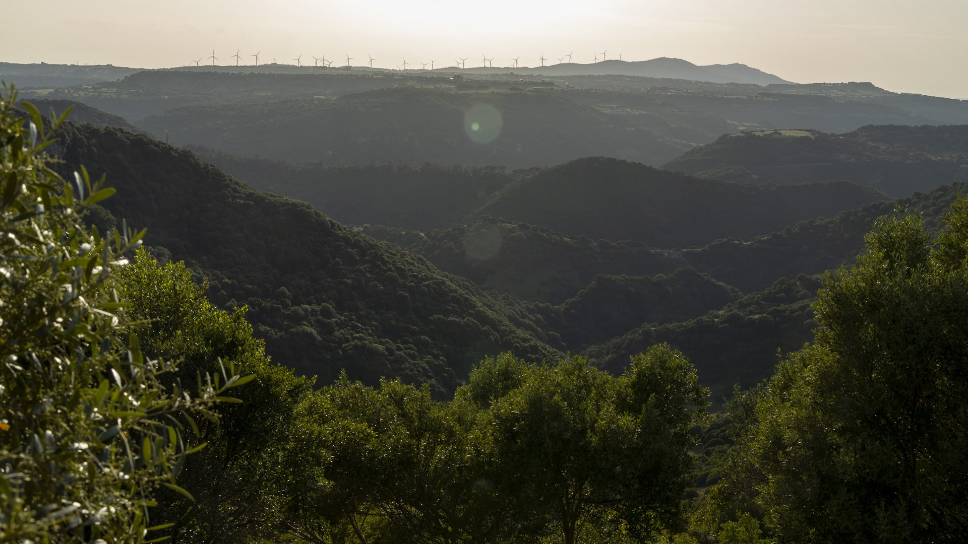 FESTA DI SAN SEBASTIANO – SAMUGHEO