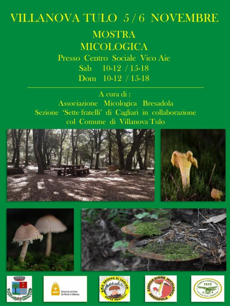Mostra Micologica