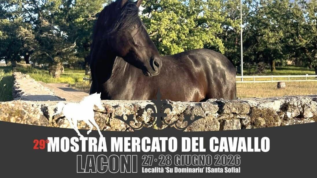 locandina mercato del cavallo laconi 27-28 giugno 2026